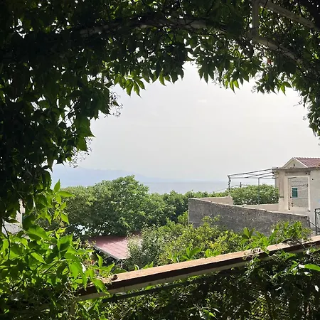 Ankora Apartment *