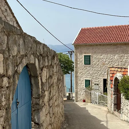 Ankora