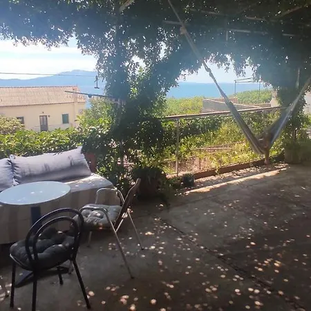 Apartament Ankora *