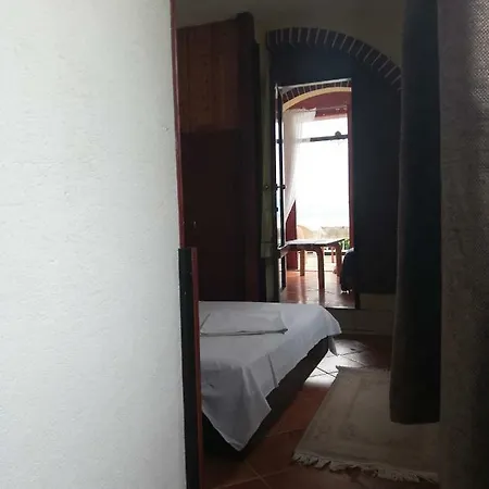 Ankora * 布里斯特